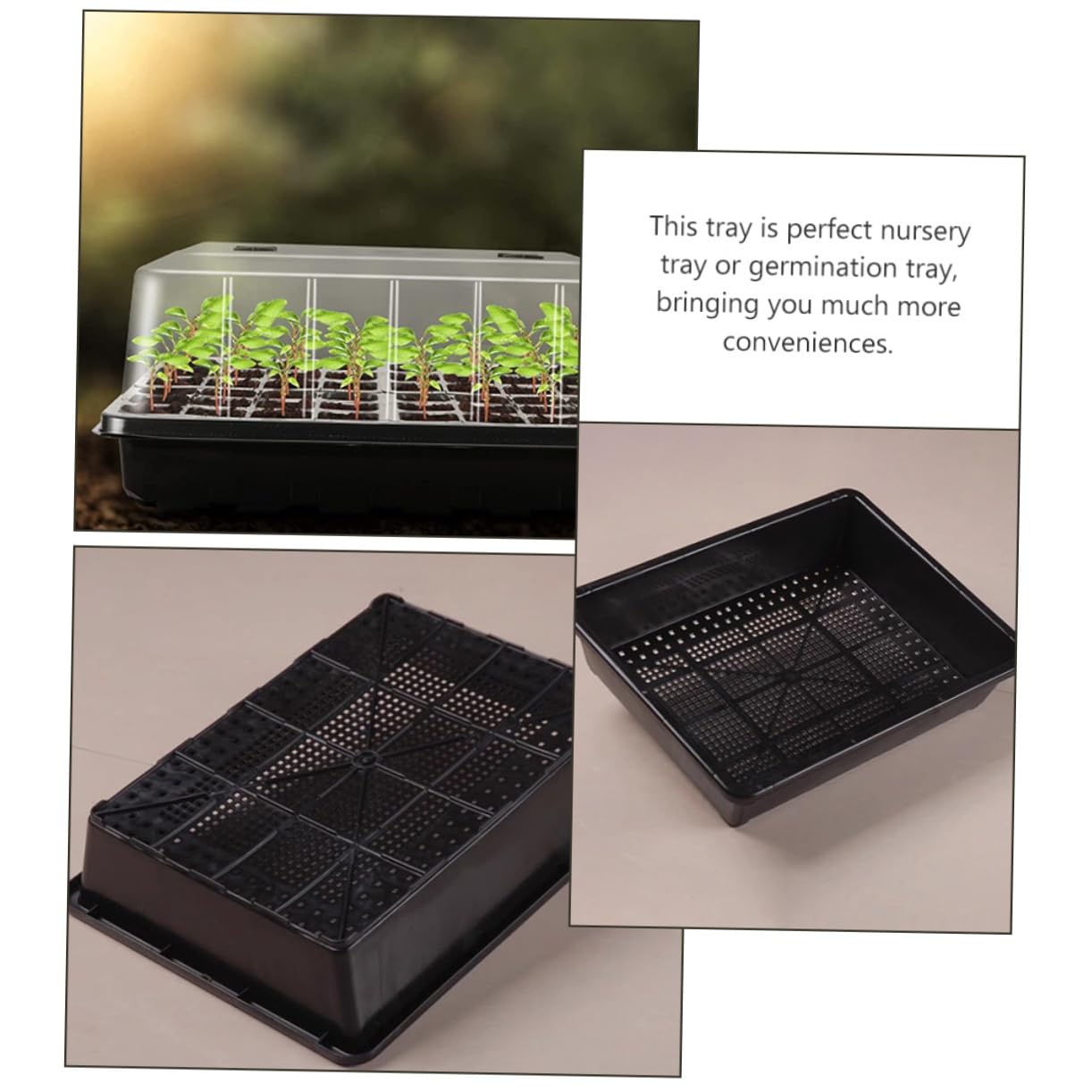 Plateau de Germination pour Semis, Lot de 1 Set, Plastique , avec Couvercle