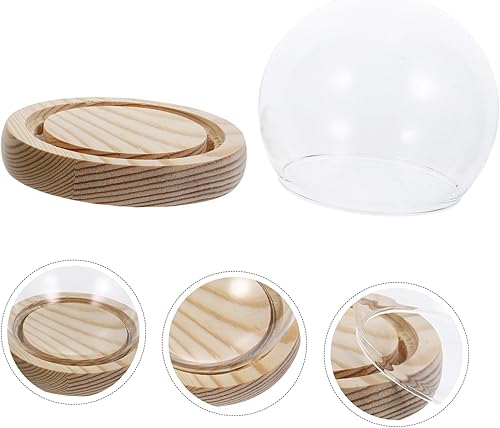 Miniatura 8 de Healifty Campana de cúpula de cristal transparente con base de madera ligera, recuerdo de terrario, exhibición de flores preservadas, contenedor de