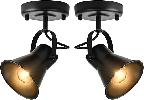 SEEBLEN Luz de riel moderna iluminación de techo para interiores, luz de acento ajustable para montaje en pared, para dormitorio, sala de estar,