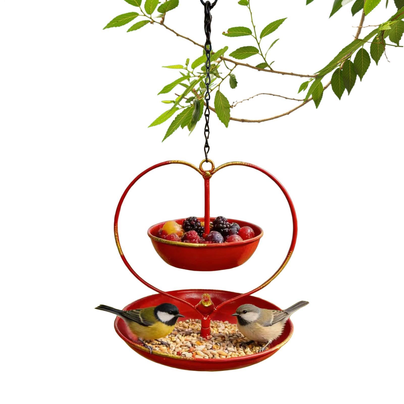 Bain d'oiseau extérieur en cœur pour embellir votre balcon et attirer les oiseaux