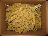 Penn Seed Spray Millet, 5 lb Box