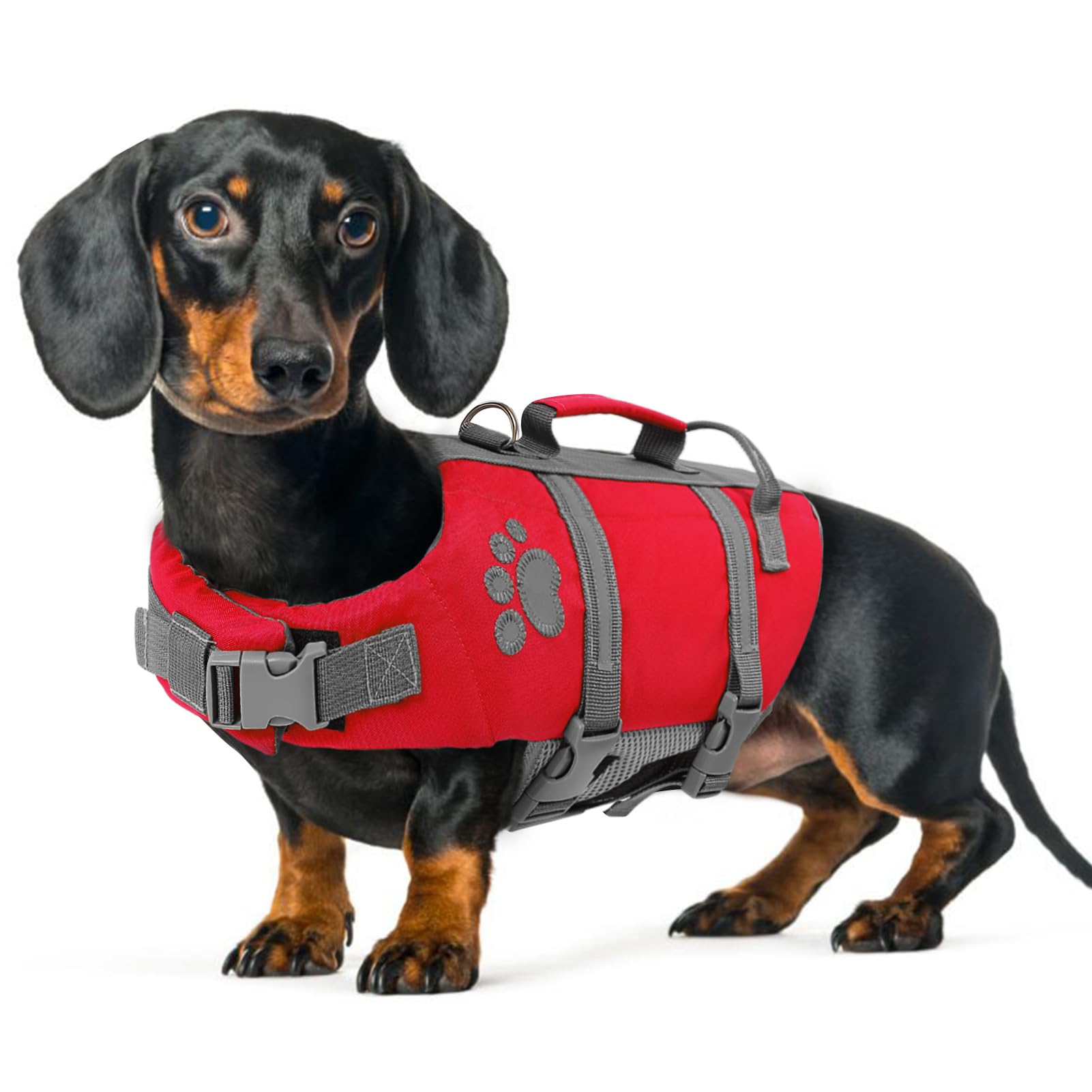 Queenmore Salvagente Cane Taglia Piccola, Leggero, Regolabile, Riflettente, Per Cani Piccoli, Nuotare, Kayak, Paddleboarding (S, Rosso)