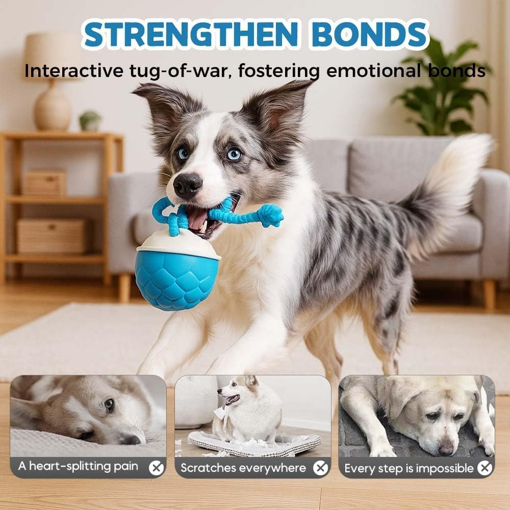 Interactive Dog Toys Motion Activated Automatic Rolling Ball Toys for Small/Medium/Large Dogs Balls for Boredom to Keep Them Busy with USB Rechargeable(Blue) - Image 4