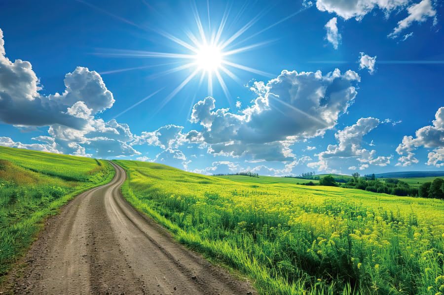 20x10ft Spring Green Hills Meadow Backdrop a Path Green Grass Lawn Trees Blue Sky White Clouds Photography Background Outdoor Nature Scenery Decor Kid