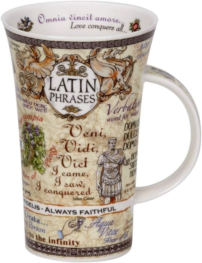 Latin Phrase Mug