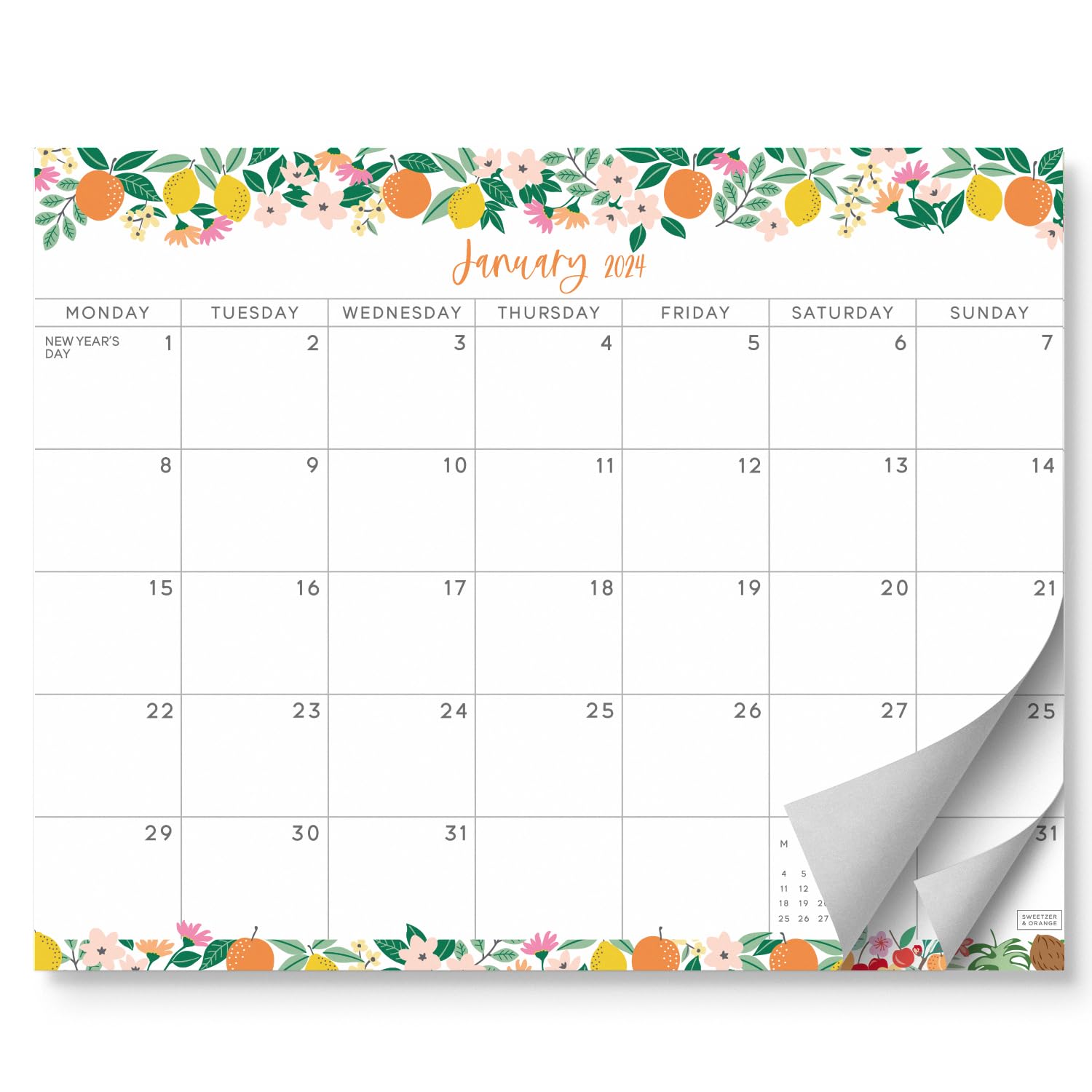 S&O Fruity Magnetic Fridge Calendar from January 2024-June 2025 - Tear-Off Refrigerator Calendar to Track Events & Appointments - 18 Month Magnetic Calendar for Fridge for Easy Planning - 8"x10" in.