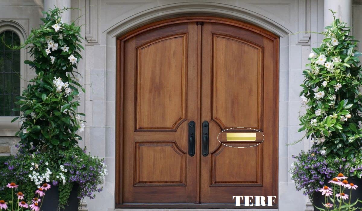 TERF® 280 mm x 80 mm - Rabat intérieur de type victorien traditionnel - Laiton poli - 280 mm x 80 mm - Rabat intérieur pour boîte aux lettres avec vis de fixation