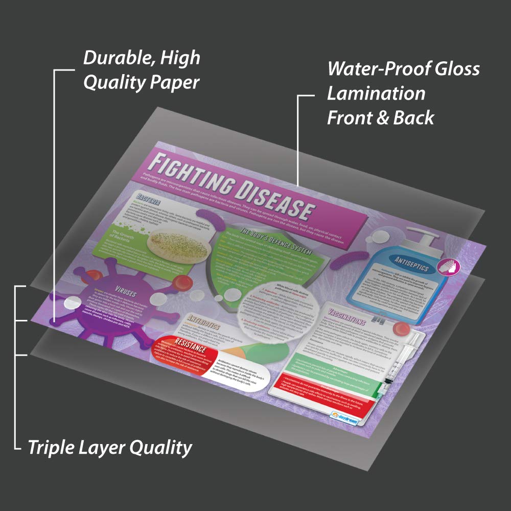 Fighting Disease | Science Posters | Laminated Gloss Sierra