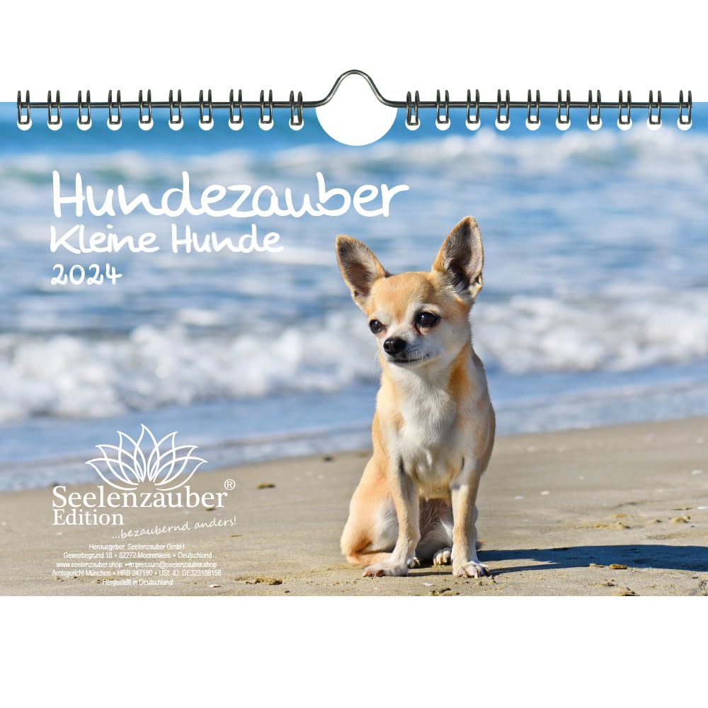 Hundezauber Small Dogs DIN A5 Wall Calendar for 2024 Puppies and Small Dogs Seelenzauber