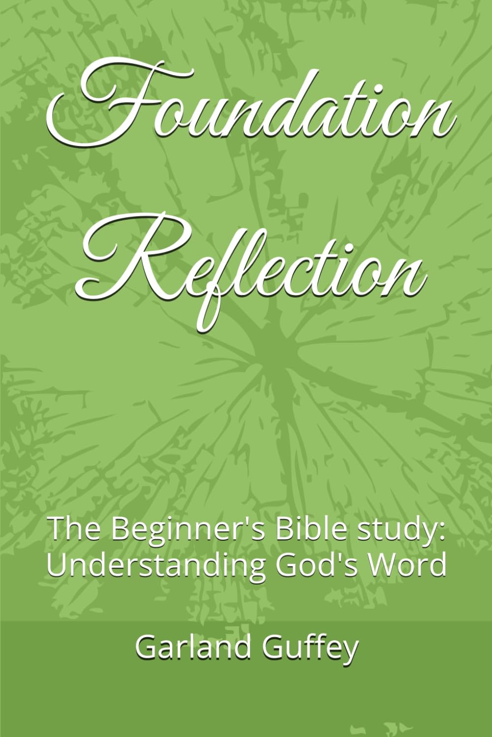 Foundation Reflection: The Beginner's Bible study: Understanding God's Word