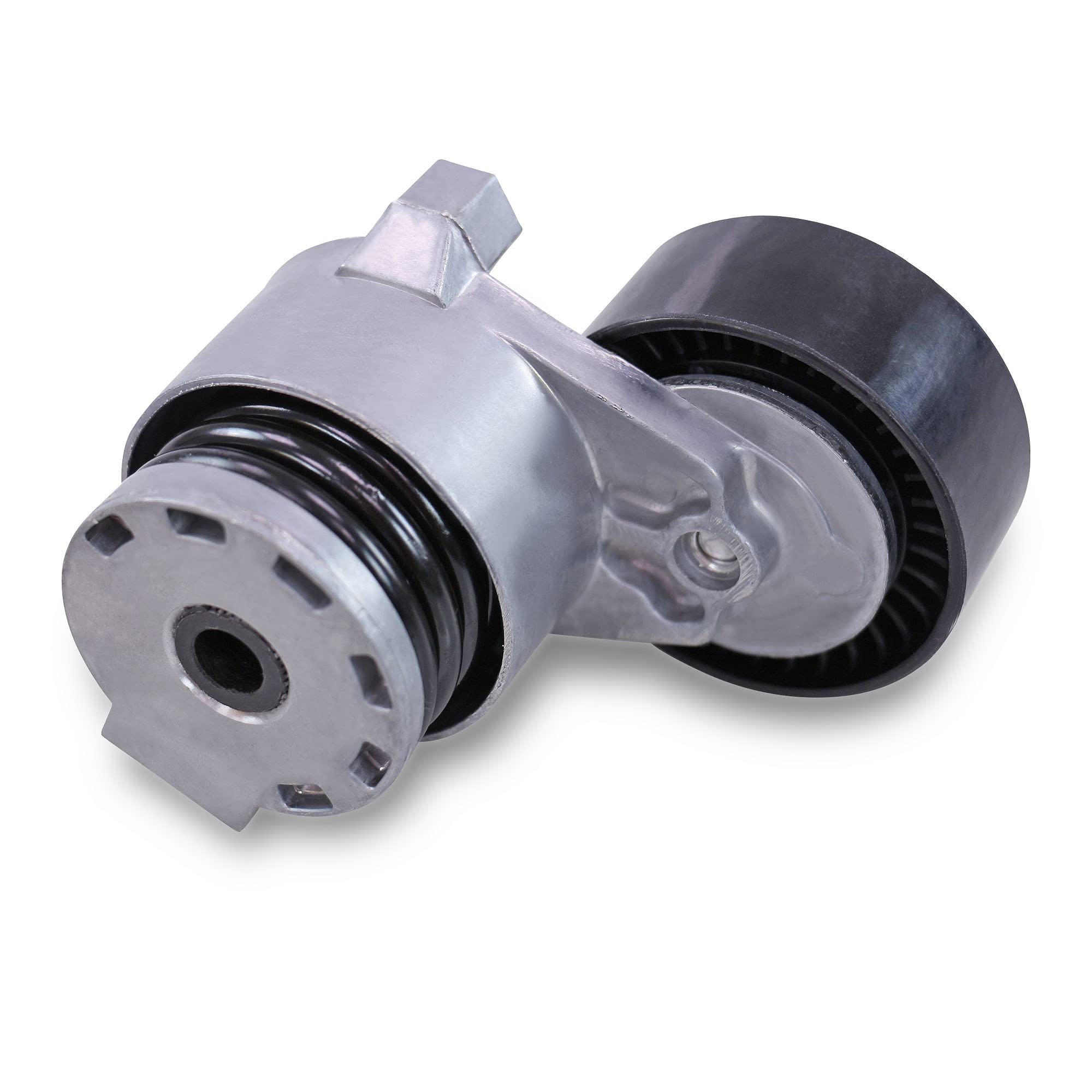 Contitech – 6pk1200 K1 correa de distribución