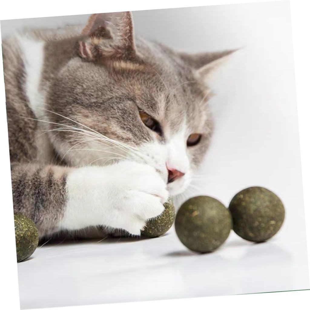 FOMIYES 9 Pz giochini per Gattini Catnip Ball Palla di gatta compressa gatta del Gatto Palla Snack per Animali Domestici Palla di gatta per Gatti Sapore di Menta Lecca Lecca