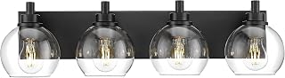 4-Light Matte Black Bathroom Vanity Light, Clear Glass Globe Shade