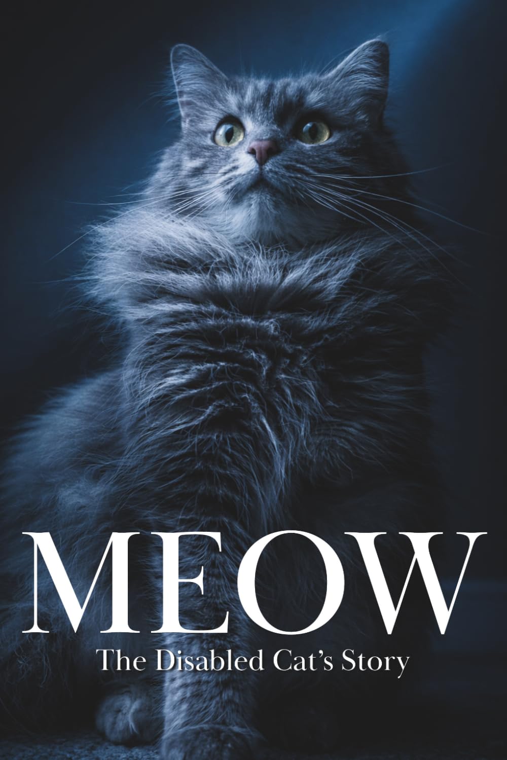 MEOW: A Disabled Cat's Story - The Book All Cats Should Read, Written By a Cat (Animal Stories)