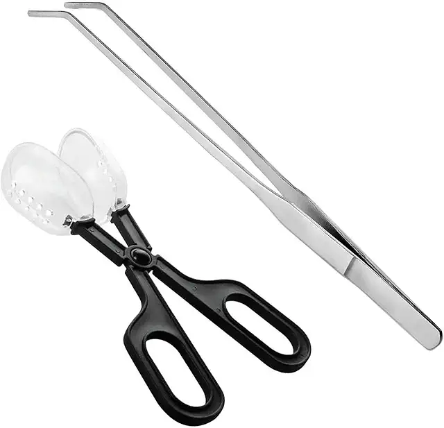 Chamäleon Terrarium Pinzette & Futterklemme für Reptilien, Hamster, Insekten