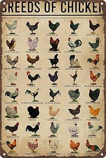 Breeds Of Chickens tin sign,Vintage Chickens art,Chicken Knowledge Metal Tin Sign Breeds Of Chicken Retro Poster School Farm Cafe Bar Bedroom Bathroom Kitchen Home Art Wall Decoration 8x12inch