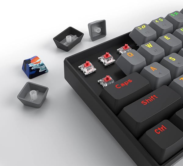 SOLIDEE tastiera da gioco meccanica al 60%,tastiera cablata compatta retroilluminata a LED RGB a 61 tasti con cavo USB di tipo C rimovibile,tastiera da con interruttore rosso lineare per Win(61 Dolch) - 5