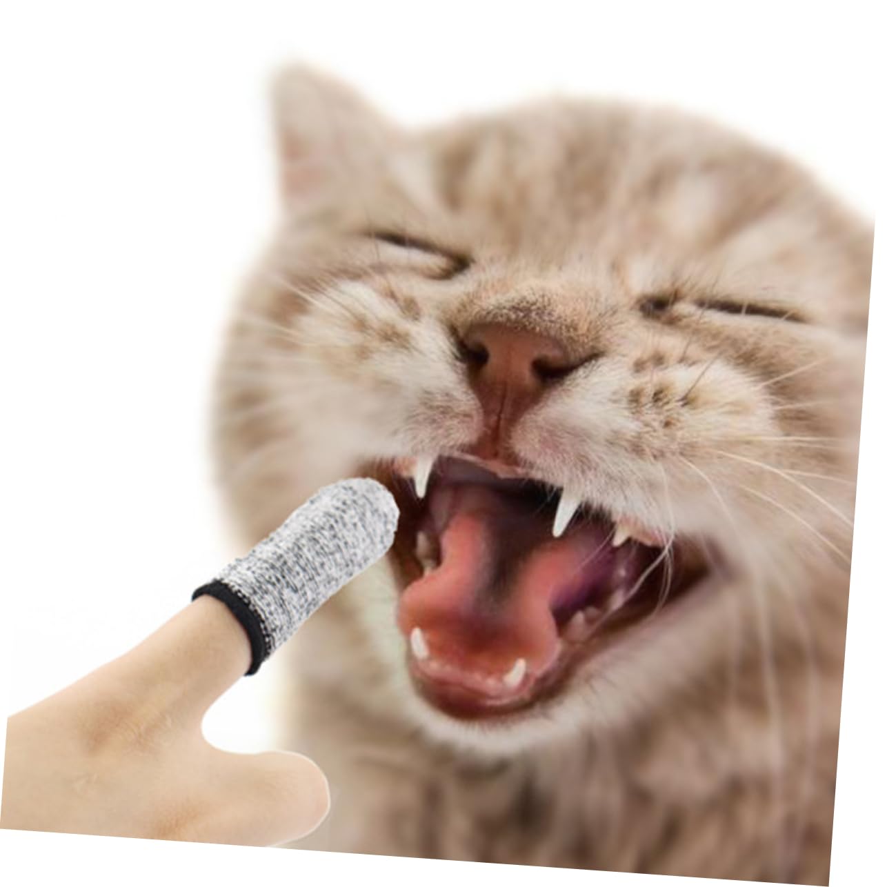 Abaodam Pet Tooth Tools 2 Sets of Cat Dog Brush Finger Sleeves Safe Gentle for Removing Plaque