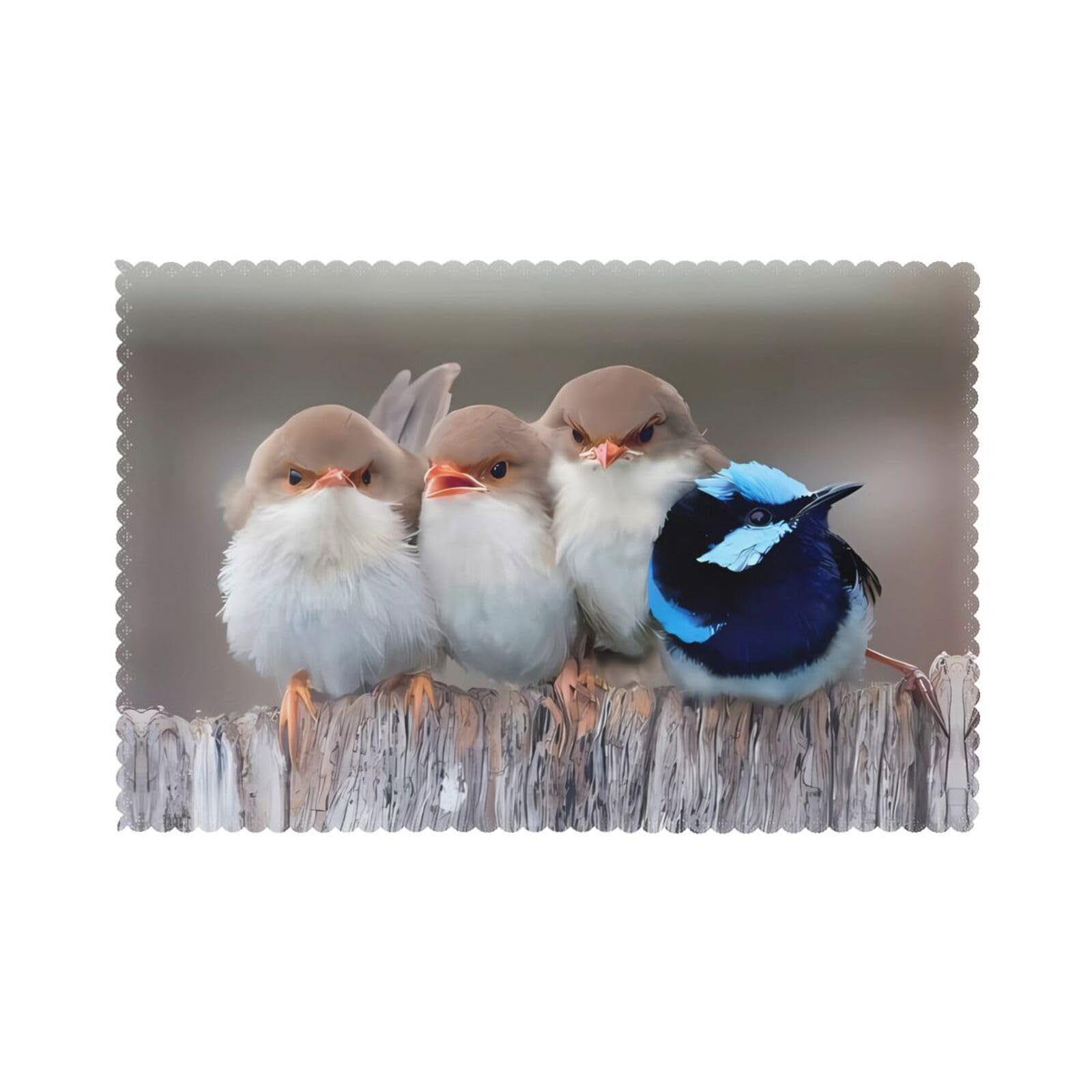 WHJDPP Four Birds Prints Placemats Set of 6 12x18in – Durable Table Layers for Stylish Home, Hotel & Festive Gatherings