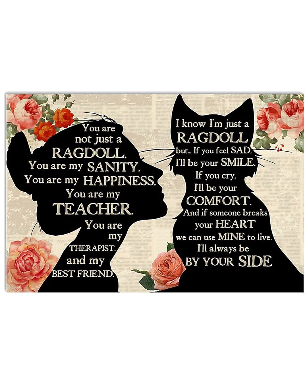 Yivxa Girls Tin-2374 Ragdoll Metal Signs You Are Not Just A Ragdoll Posters Retro Plaque Room Club Bathroom Wall Decor 12X8 Inch Vintage Metal Tin Sign
