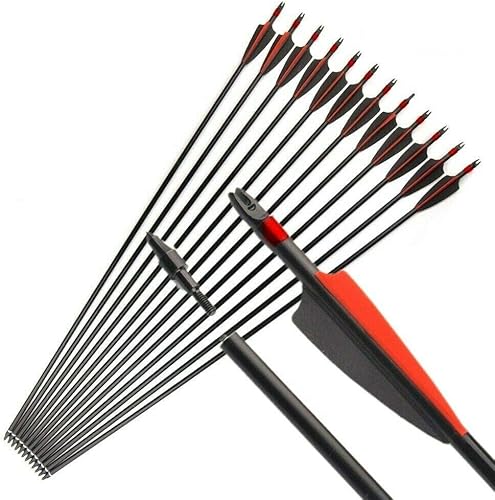 EROCK 12 flechas de fibra de vidrio con tiro con arco de 29.9in con punta de flecha reemplazable, flechas de práctica de caza 500 OD 0.315in para