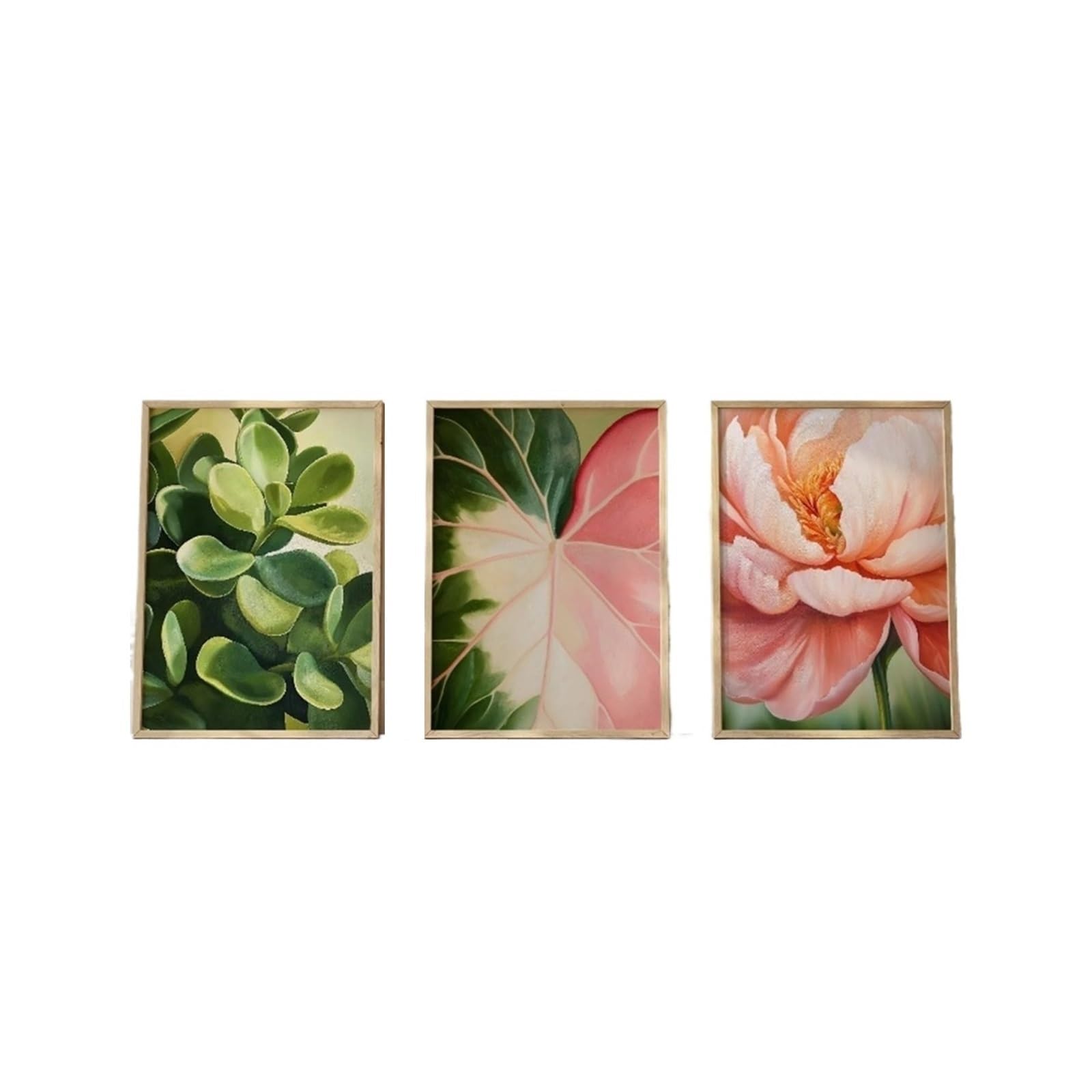 3pcs Botanical Succulent Peony Canvas Wall Art Vibrant Floral Printing For Fresh Home Decor Ideal Holiday Gifts(50x60cm Unframe)