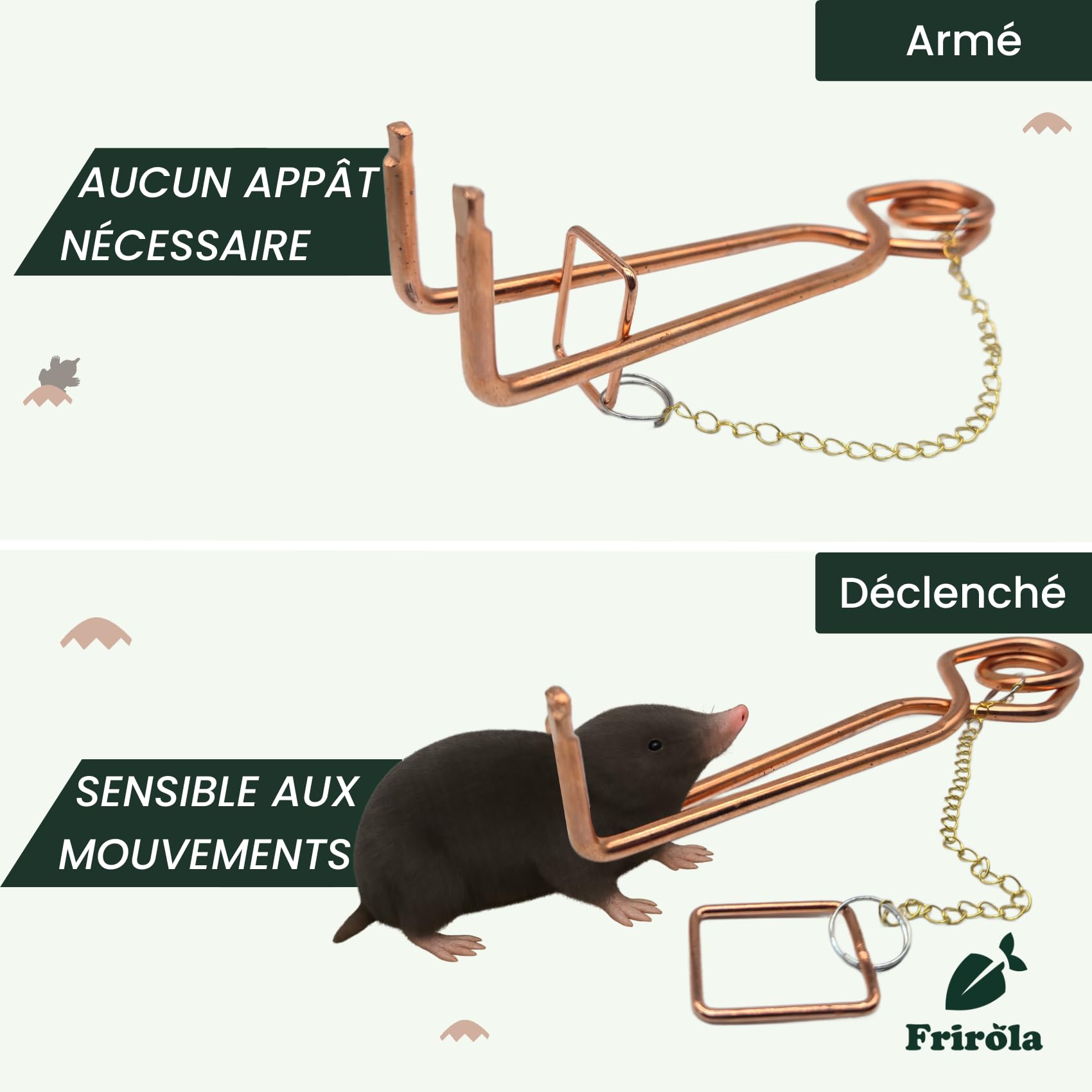 Piege a Taupe - Kit de 4 Anti Taupe Efficace - Pince Installation Facile - Putange Professionnel - Produit Anti Taupe - Anti nuisible - Détente soudée améliorée - Éliminer Les Taupes