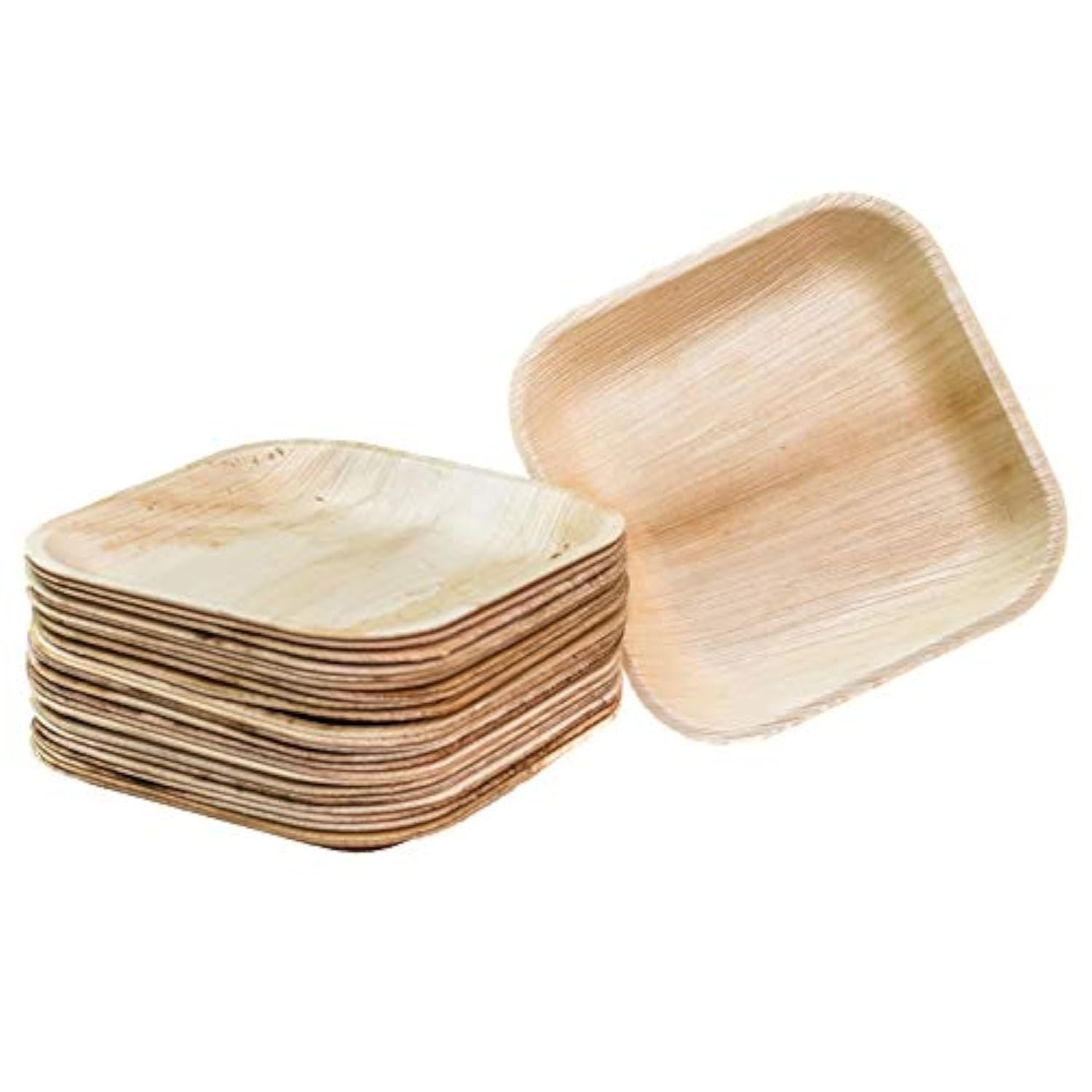 Disposable Plates