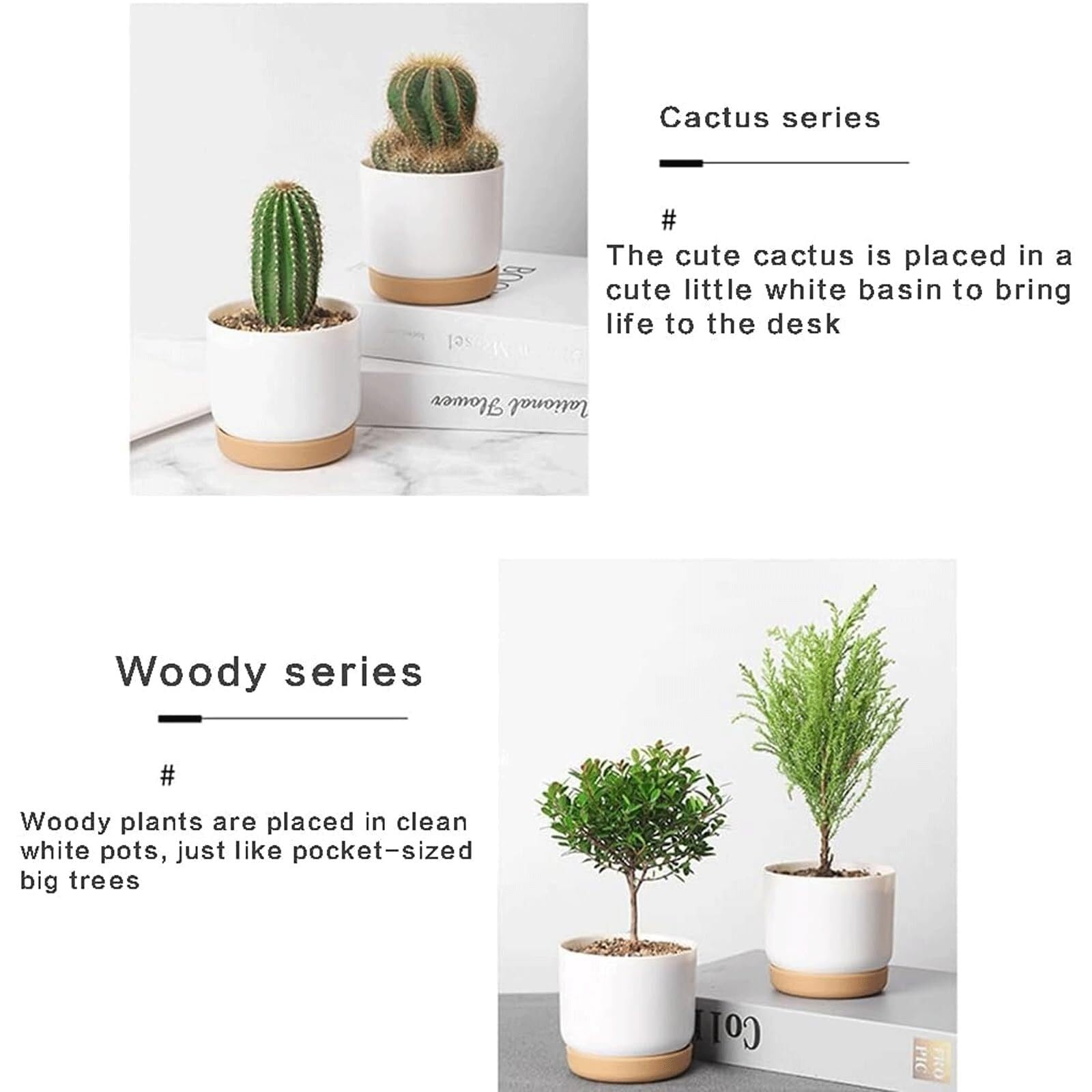 Jardinières décoratives Lot de 2 Pots Fleurs à arrosage Automatique, en Plastique Les indispensables du Jardin(#L)