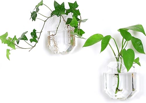 Kingbuy Macetas de pared de vidrio, jarrón de propagación geométrica con forma octágona, soporte para plantas de agua para decoración interior del