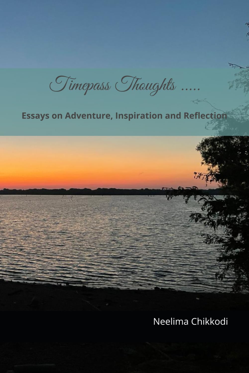 Timepass Thoughts ...: Essays on Adventure, Inspiration and Reflection