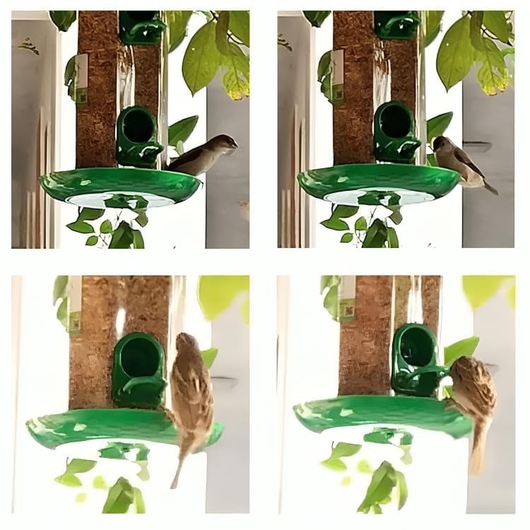 Image of Large Bird Feeder I Hanging Bird Feeder for Balcony I Outdoor Bird Food Feeder I 900 Capacity I Premium Hard Plastic Weatherproof, Attracting for Wild Birds (Green, Pack of 2 Pcs)