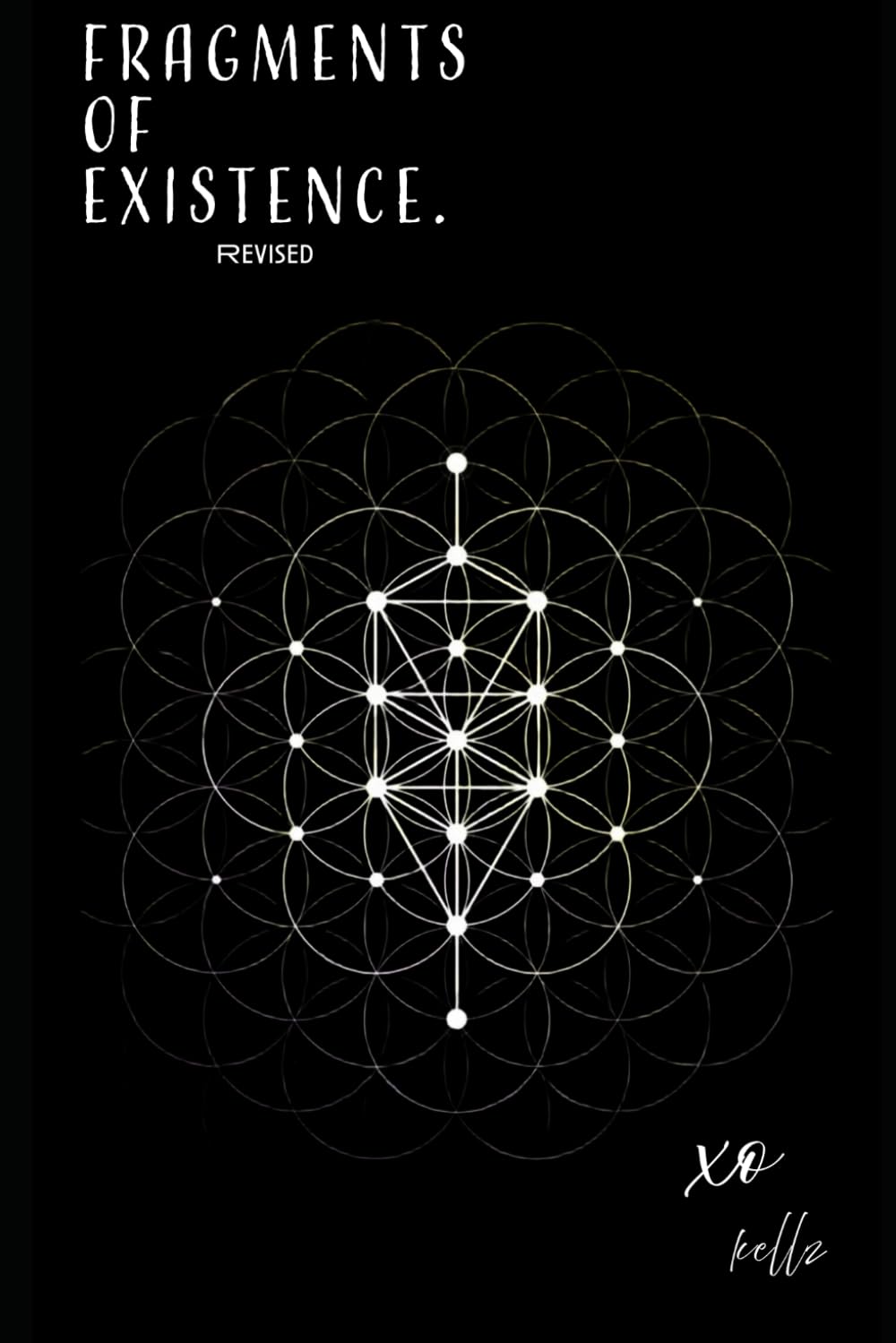 Fragments of Existence: Revised edition