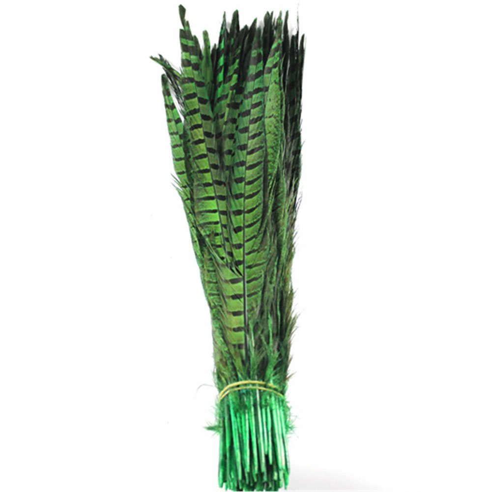 KOLIGHT Set of 10pcs Natural Dyed Pheasant Tails Feathers 12-14 Inch DIY Decoration (Green)