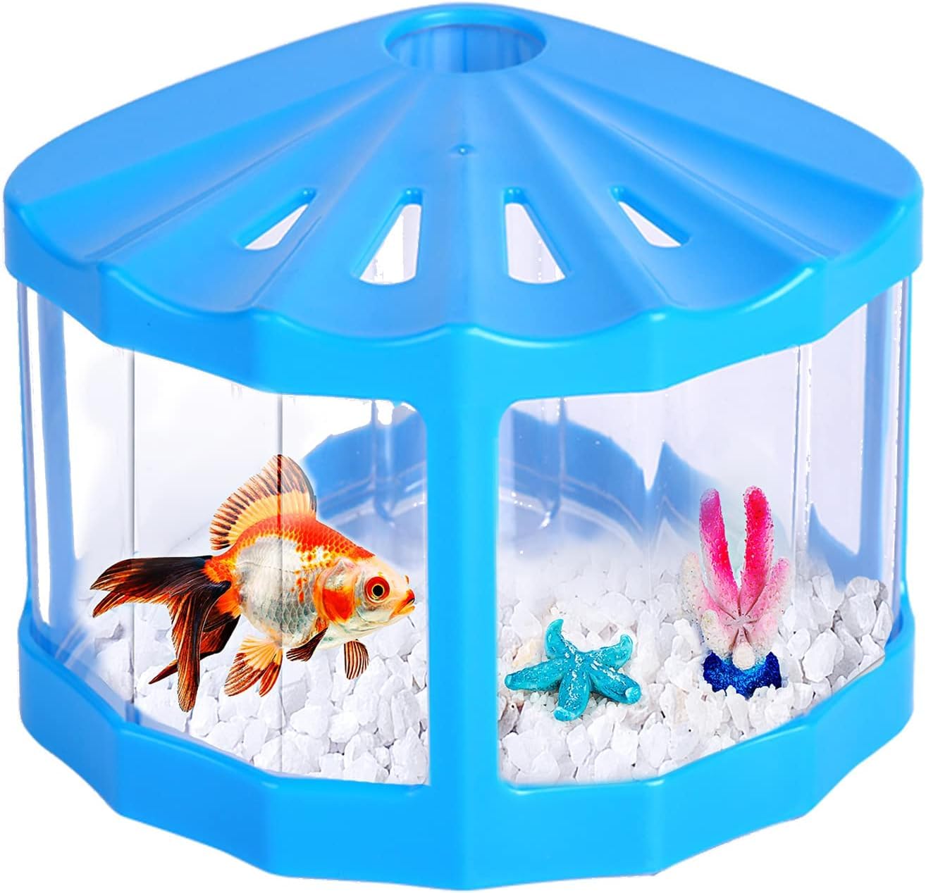 Mini Shell Shape Tiny Sea Monkey Tank with Aquarium Gravel (Blue)