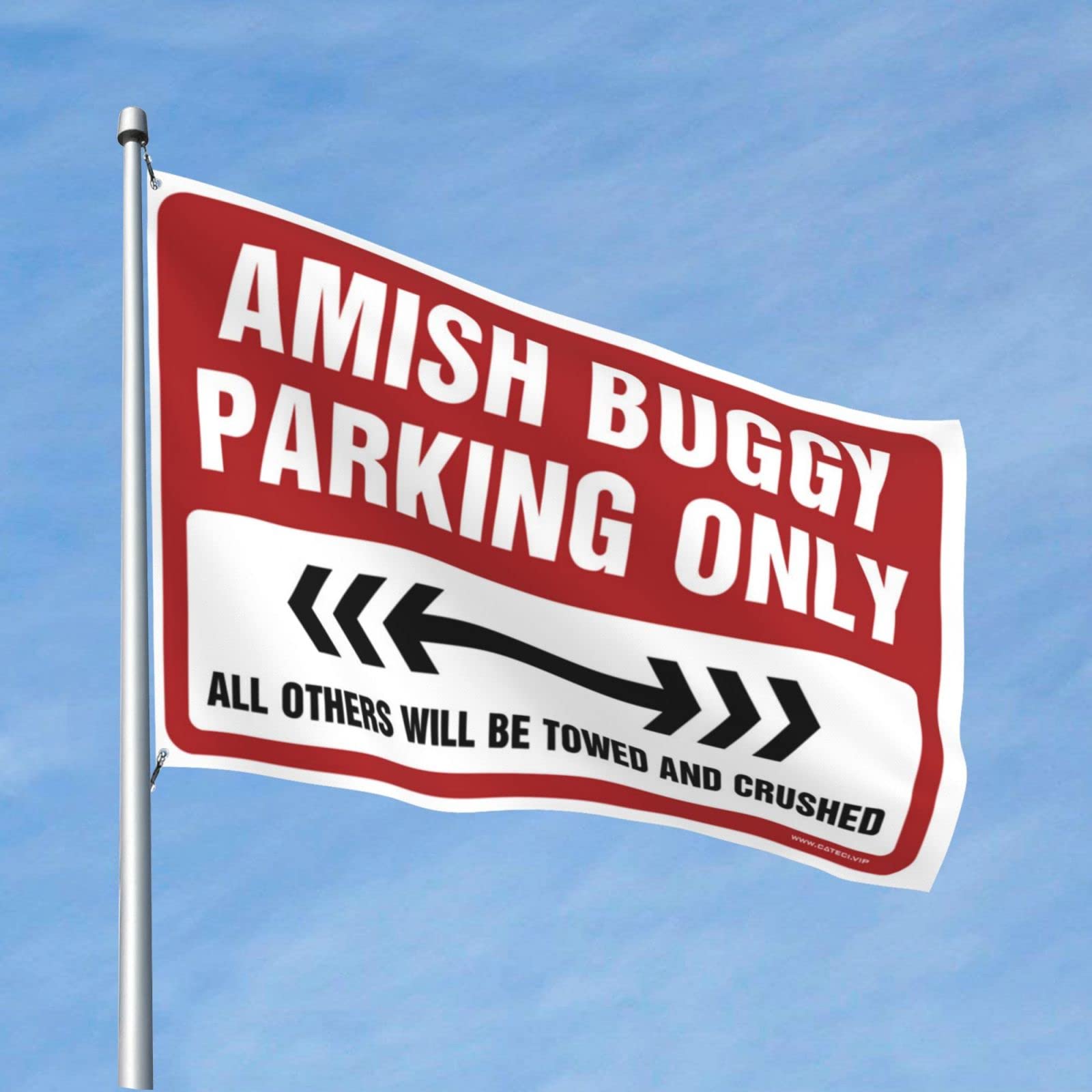 Dorm Room Flags For Guys Amish Buggy Parking Only Flag Cave Man Bar Deck Decorations Outdoor (Size : 120X180CM)