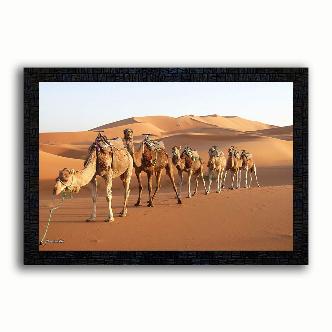 pnf Poster n Frames Camel Photo Frame|Bedroom, Living Room Wall|Acrylic Sheet|Gift|Nature Scenery|Home Decor|Best Gifting Option(14x20inch,Multicolour)-image-11