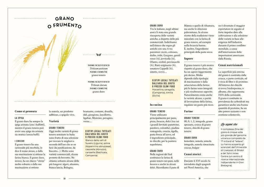 Tutta l'Italia del pane