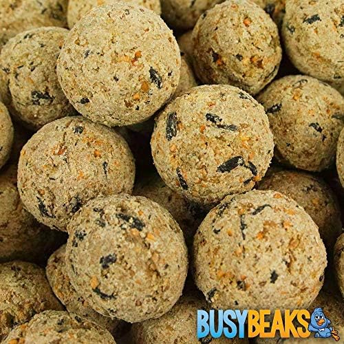 BusyBeaks Suet Fat Balls | Premium Garden Wild Bird Food | Enhanced Year-Round Formula | Naturally Blended High in Energy & Protein-Rich Feed | Full of Fresh Nutritious Fat Fibre & Moisture (5L Tub)