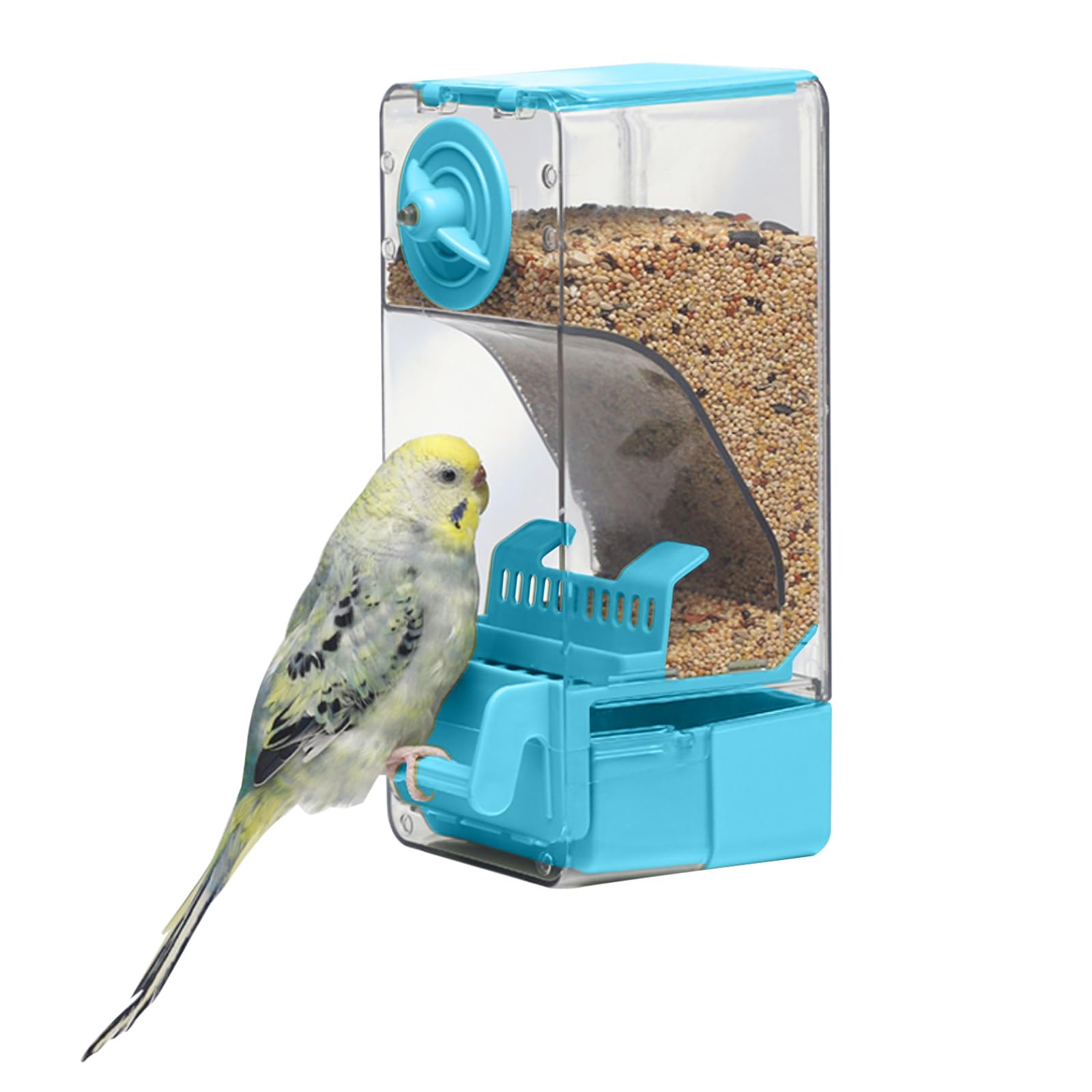 septillar Automatic Bird Feeder - feeding and watering supplies pet | Mubboo