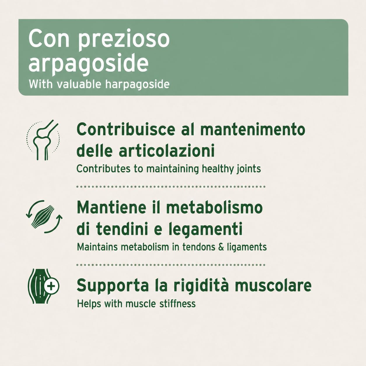 AniForte Artiglio del Diavolo - Articolazioni Attive 500g per Cani e Gatti, Integratore Naturale dell'Agle del Diavolo Africano per Il Movimento, per Supportare Articolazioni Agili e Flessibilità