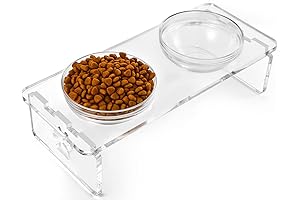 Clear Dog Stainless Steel and Glass Elevated Feeder Stand