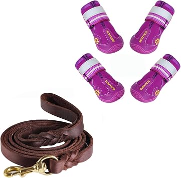 QUMY Dog Shoes Purple Size 7 and Leather Dog Leash
