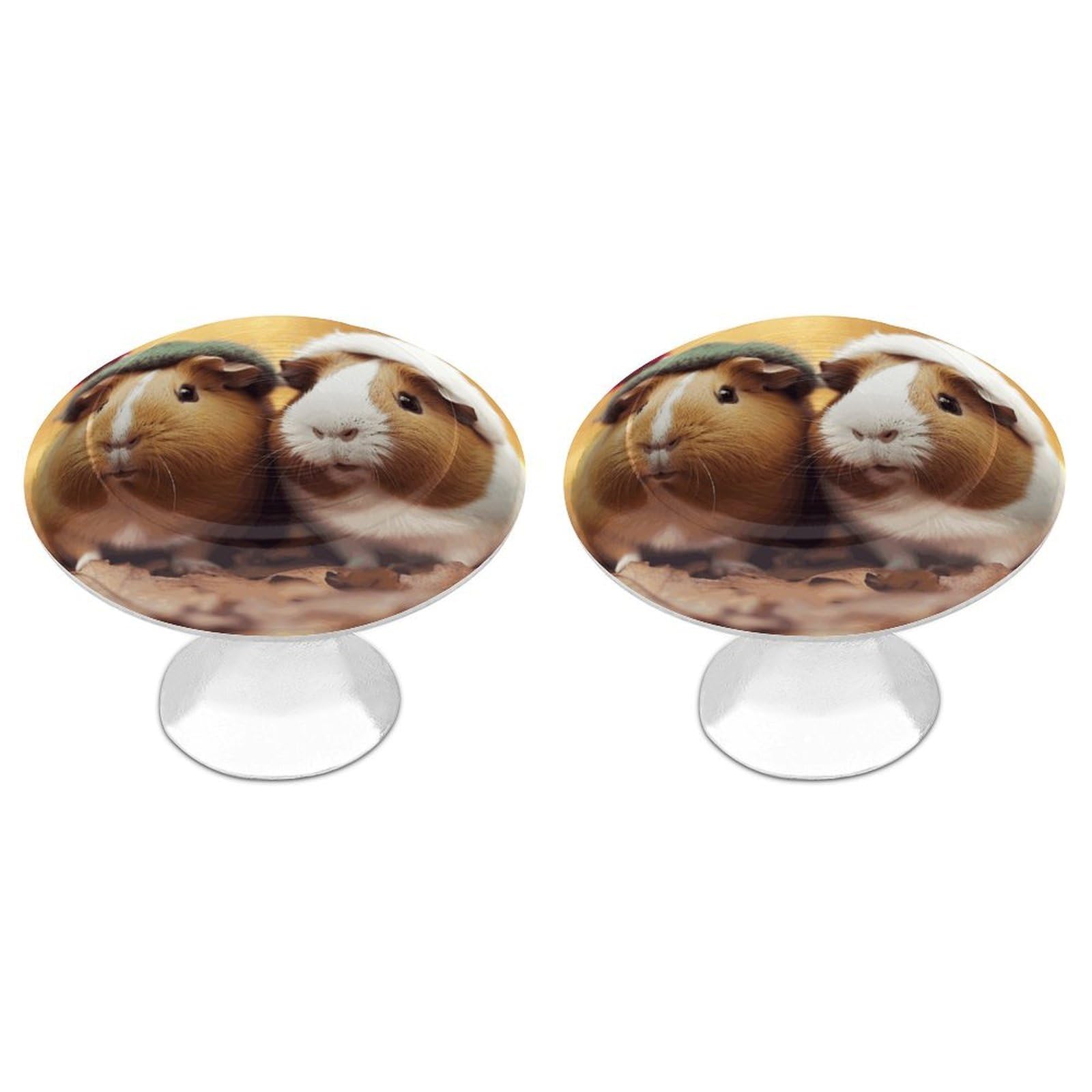 FekiLoot Cute Guinea Pigs Cabinet Knob 2 Pack Mini Round Drawer Pulls Stainless Steel Dresser Drawer Knobs Kitchen Drawer Hardware for Bathroom Dresser Closet Door Knobs
