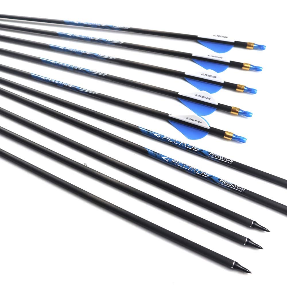 AMEYXGS 12 Flèches Carbone 30 Pouces Spine 500 - Pratique & Chasse Pour Arc Classique, Arc à Poulies & Arc Long