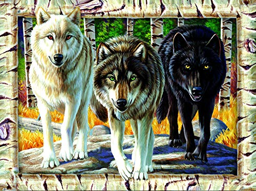 Sunsout 58681 - Fisher: Wolf Pack Colors Cover