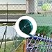 Aiwaiufu 76 Meters Chain Link Fence Privacy Tape, 250ftX0.15ft Chain Link Slats with 200 Packs Snap Fastener&Punch Tool, Covering Privacy, Green