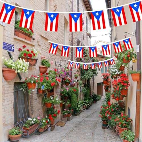 Image of AhfuLife 60 Pcs Puerto Rico String Flags for Party Decorations, Small Puerto Rico Flag Bunting Banner- Double Sided for Football Fan Party Heritage Hispanic Month Decorations (5.5x8.3 Inch -33 Ft)