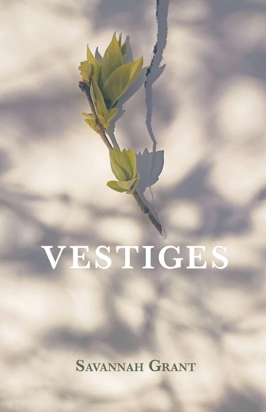 Vestiges