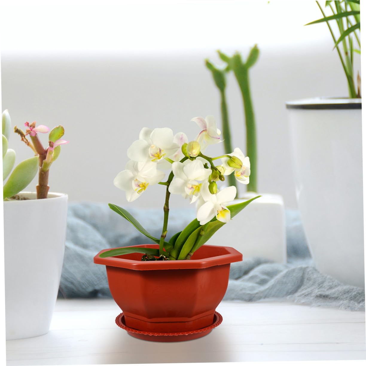 Rouges en PP Pots Octogonaux Faciles à Nettoyer et Entretenir Lot de 5 pour Plantes Succulentes pour Décoration de Jardin Extérieur